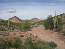 photo thumbnail #5