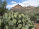 photo thumbnail #2