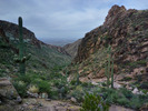 photo thumbnail #5