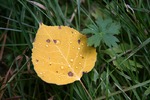 photo thumbnail #8