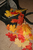 photo thumbnail #12