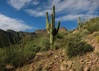 photo thumbnail #4