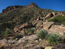 photo thumbnail #6