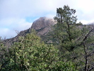 photo thumbnail #1