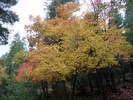 photo thumbnail #12