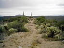 photo thumbnail #5