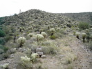 photo thumbnail #6