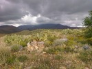 photo thumbnail #11