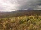 photo thumbnail #14