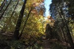 photo thumbnail #14