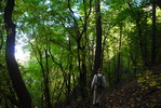 photo thumbnail #10