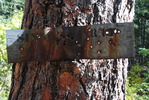 photo thumbnail #11