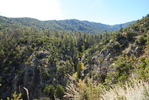 photo thumbnail #12