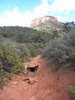photo thumbnail #4