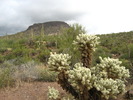 photo thumbnail #6