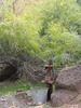photo thumbnail #8