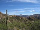 photo thumbnail #2