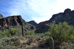 photo thumbnail #12