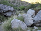 photo thumbnail #7