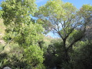 photo thumbnail #13