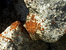 photo thumbnail #10