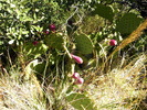 photo thumbnail #10