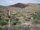 photo thumbnail #1