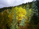 photo thumbnail #10
