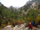 photo thumbnail #2