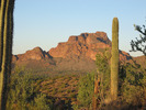 photo thumbnail #7