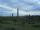 photo thumbnail #7