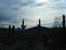 photo thumbnail #8