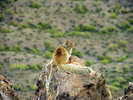 photo thumbnail #13