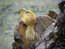 photo thumbnail #14