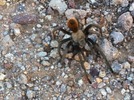 photo thumbnail #2