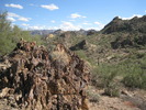 photo thumbnail #4