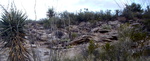photo thumbnail #5