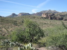 photo thumbnail #2
