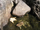 photo thumbnail #15