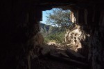 photo thumbnail #12