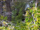 photo thumbnail #11