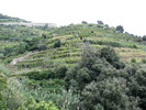 photo thumbnail #12