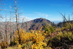 photo thumbnail #6