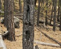 photo thumbnail #8