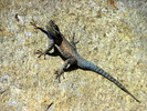 photo thumbnail #13