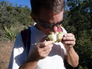 photo thumbnail #3