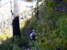 photo thumbnail #10