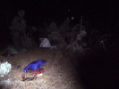 photo thumbnail #15