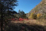 photo thumbnail #7
