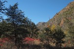 photo thumbnail #8